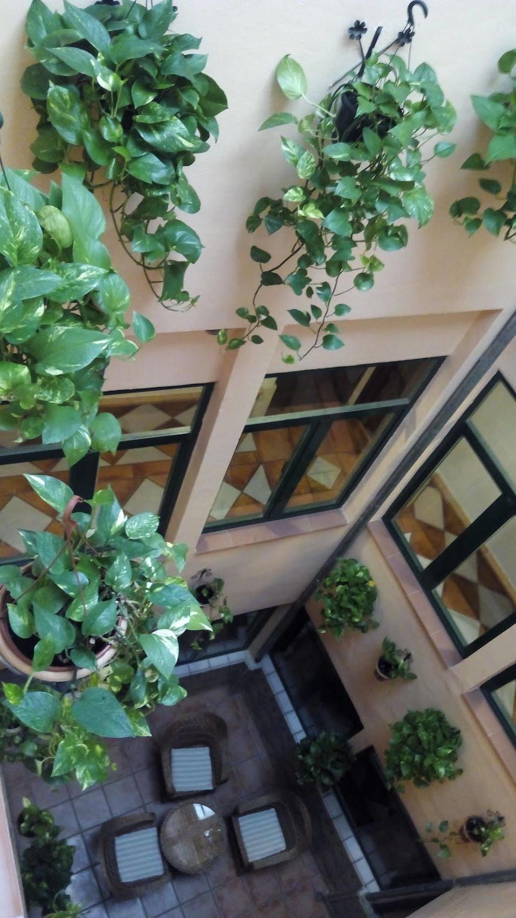 Nieves Hotel 3*